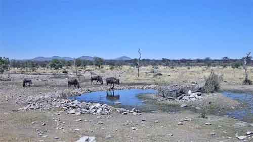 Kambaku Wildlife Reserve, Namibia