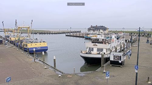 Haven Oudeschild Texel, NL