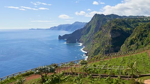 Gastheer van Negen details Madeira Live Webcams, Funchal Marina and the Ritz Café