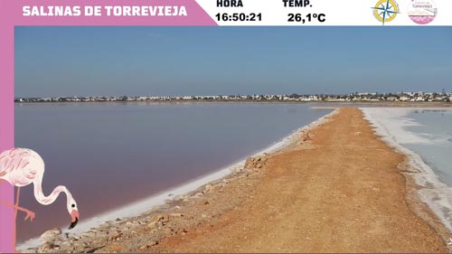 Salinas de Torrevieja, Alicante