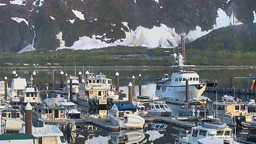 Cliffside Marina Cam, Alaska