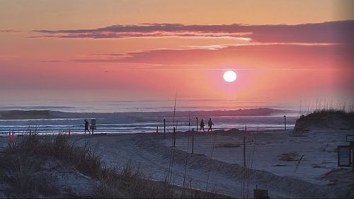 Beachcomber, St. Augustine