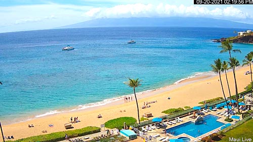 waimea bay live webcam