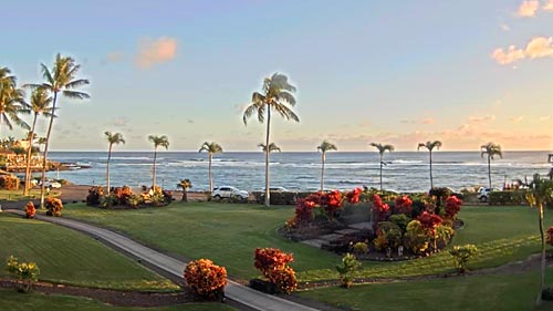 waimea bay live webcam