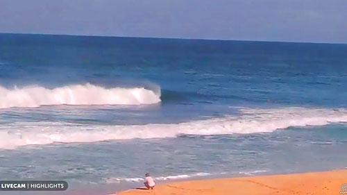 waimea bay live webcam