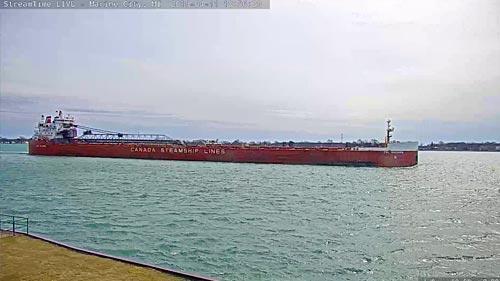 the cove leland webcam