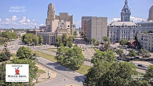 Buffalo Live Cam