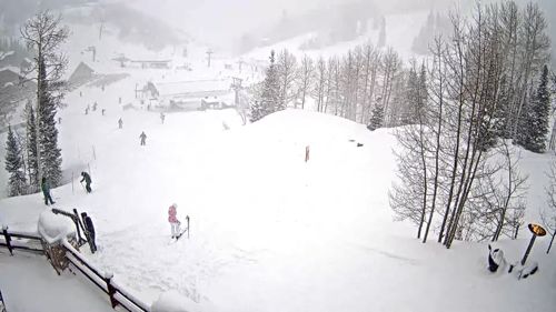 Steinlodge Ski Cam, Utah